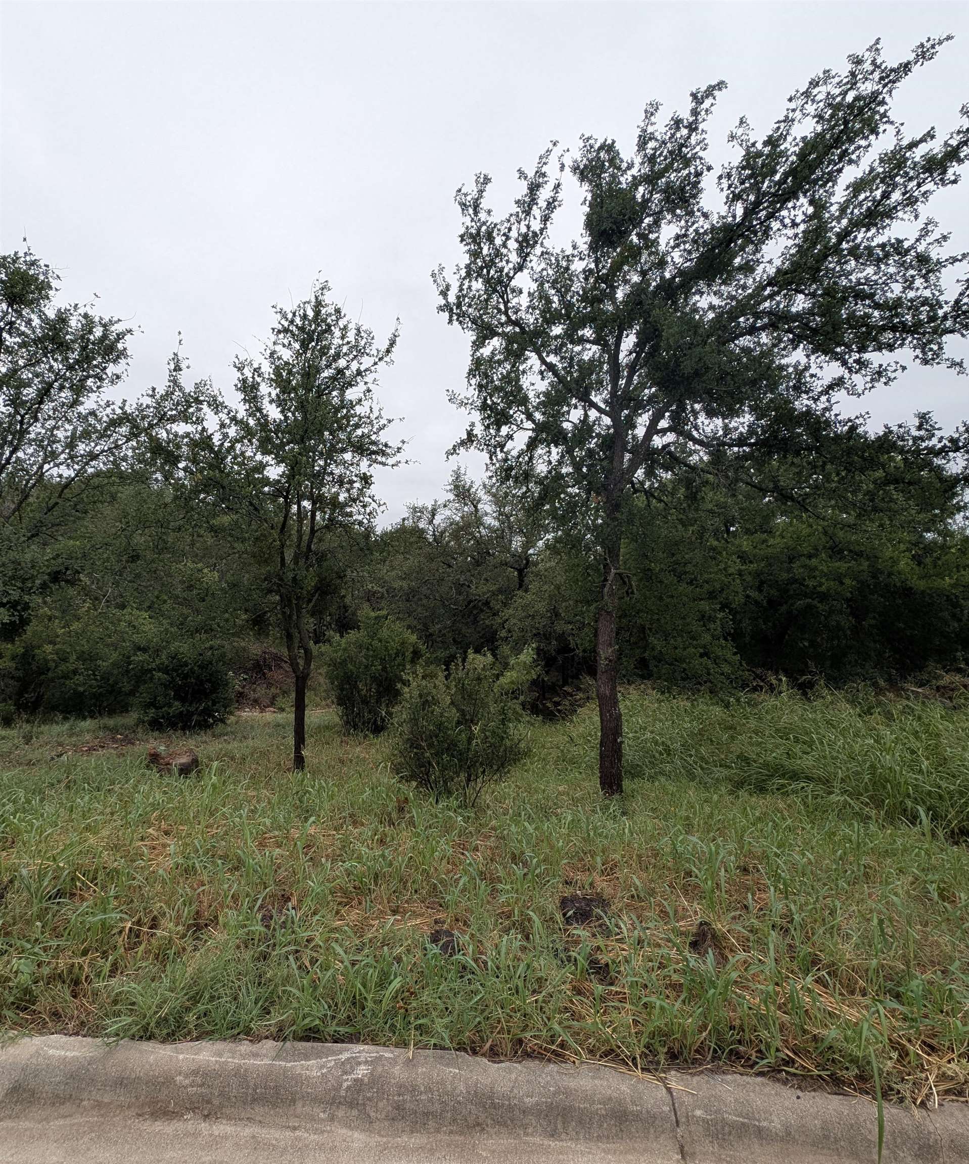 1106 Monterrey Oak Circle Marble Falls TX 78654