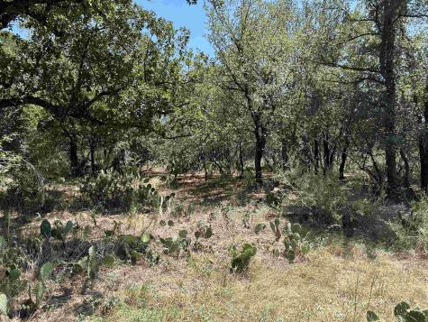 Air View Lot 534 Boulevard Sunrise Beach TX 78643