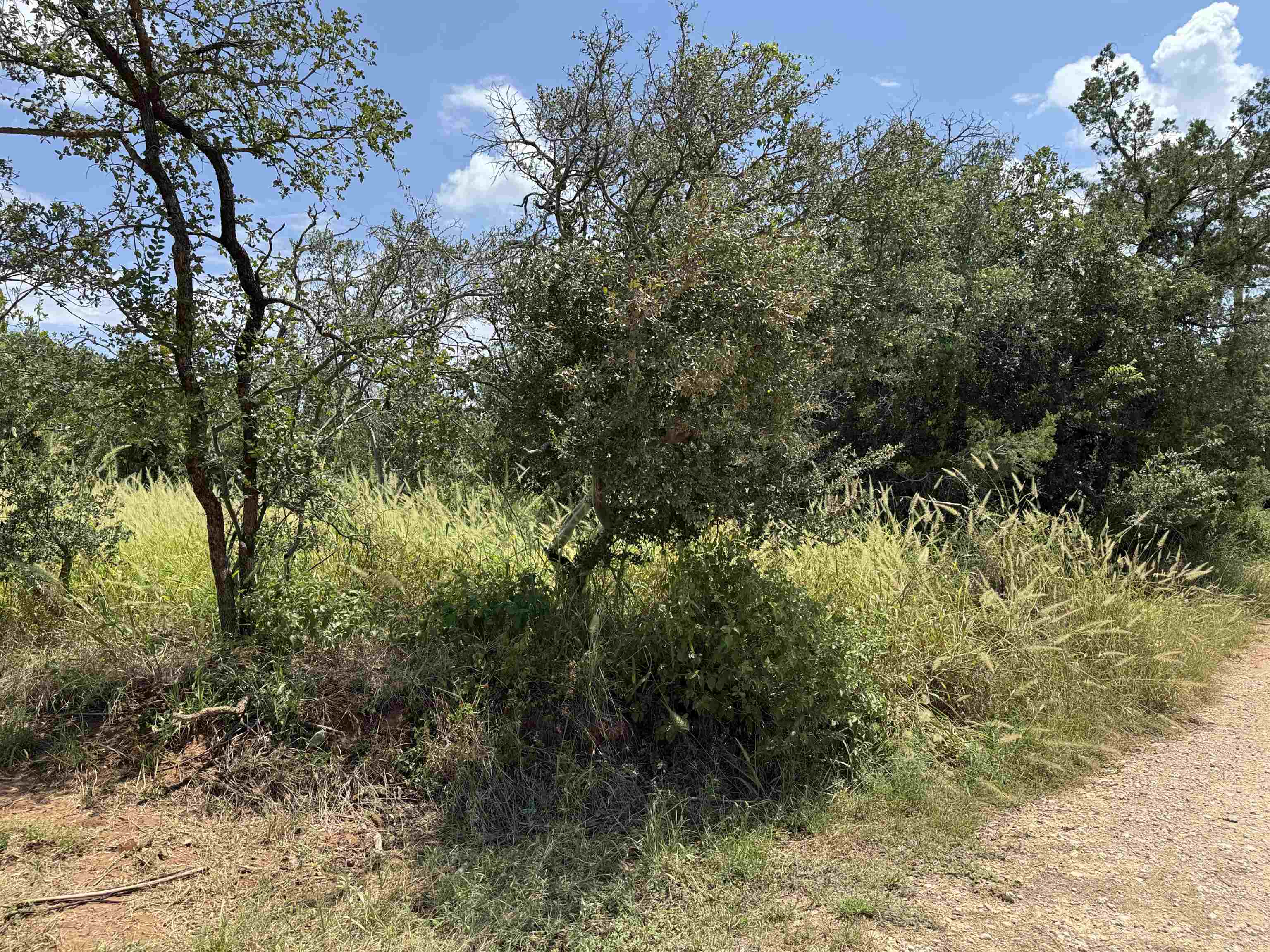 00 Radium Burnet TX 78611