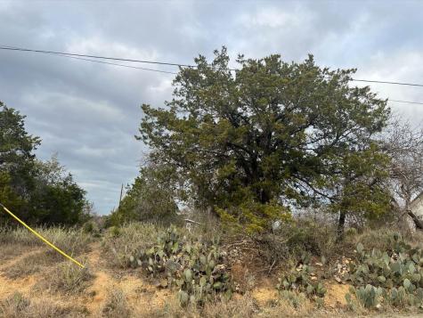 Lot 262 W Briarway Drive Granite Shoals TX 78654