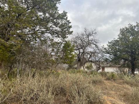 Lot 262 W Briarway Drive Granite Shoals TX 78654