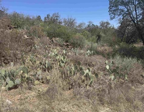 Lot 56 War Bonnet Ridge Kingsland TX 78639