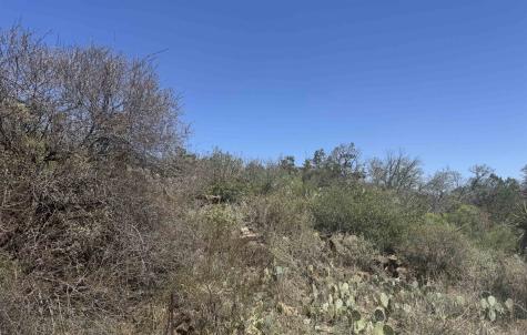 Lot 56 War Bonnet Ridge Kingsland TX 78639