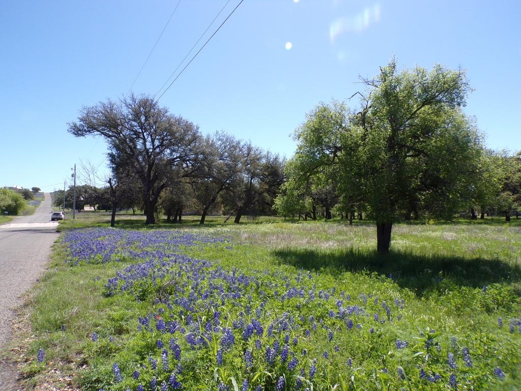 309 E Navarro Llano TX 78643