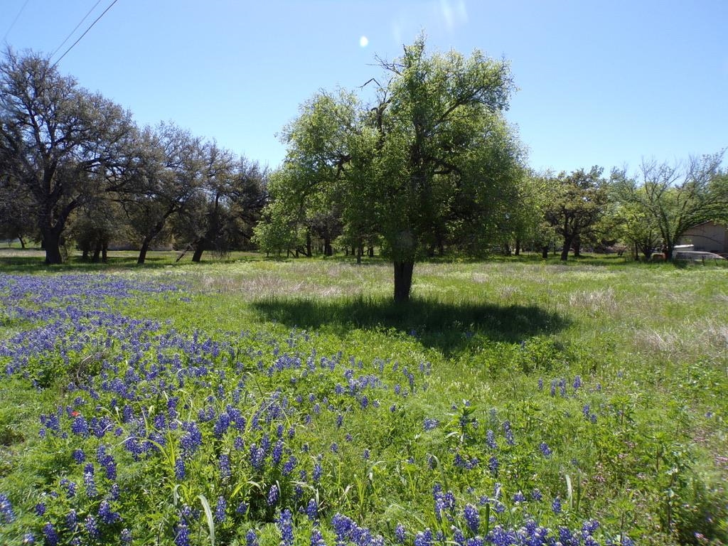309 E Navarro Llano TX 78643