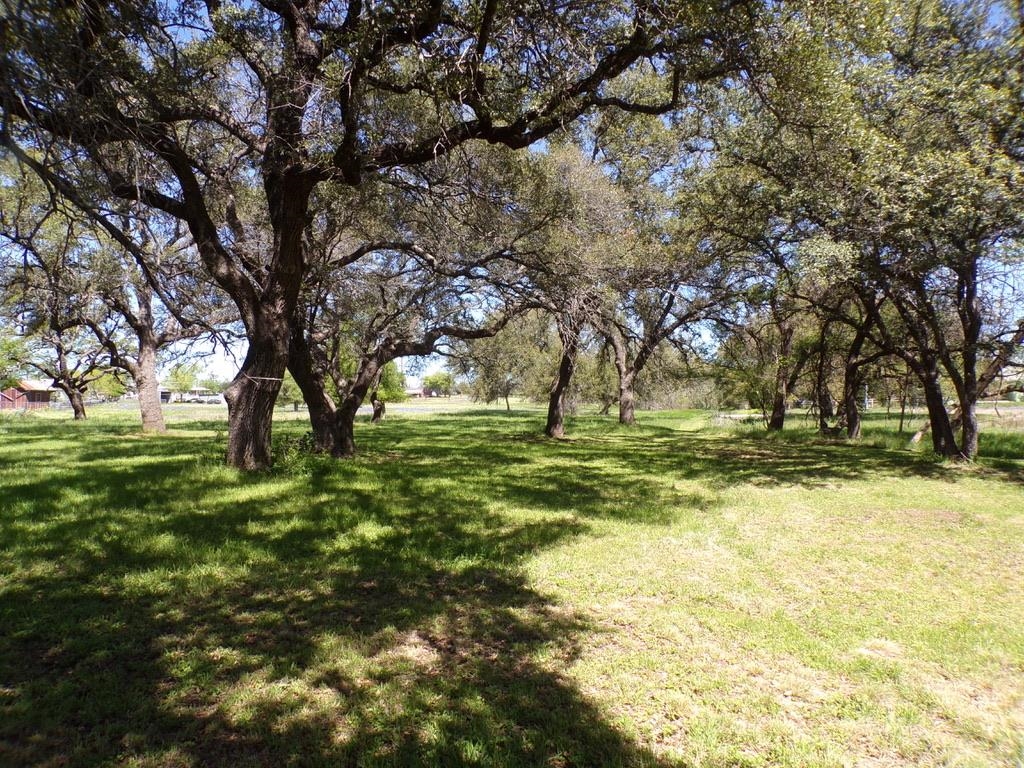 309 E Navarro Llano TX 78643