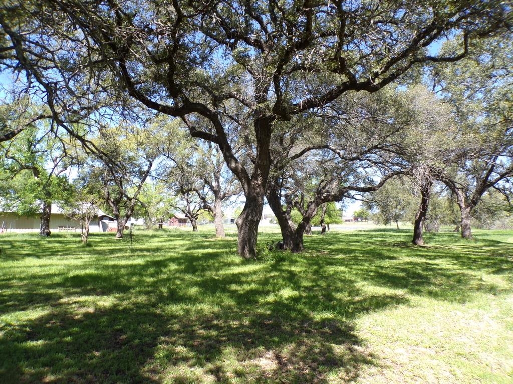 309 E Navarro Llano TX 78643