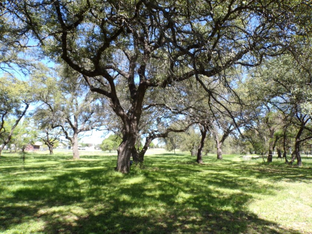 309 E Navarro Llano TX 78643