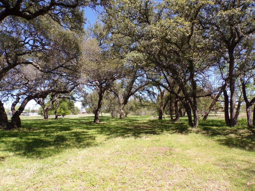 309 E Navarro Llano TX 78643