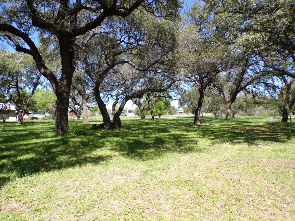 309 E Navarro Llano TX 78643