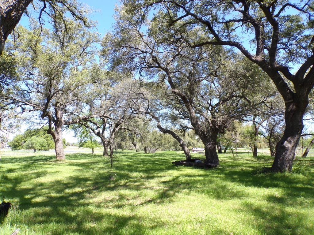 309 E Navarro Llano TX 78643