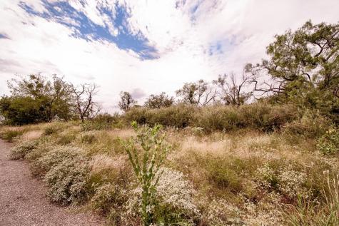 Lot 15 Lyndon Drive Horseshoe Bay TX 78657