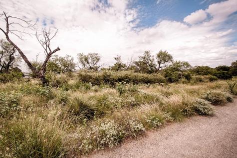 Lot 15 Lyndon Drive Horseshoe Bay TX 78657