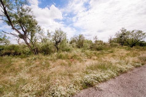 Lot 15 Lyndon Drive Horseshoe Bay TX 78657