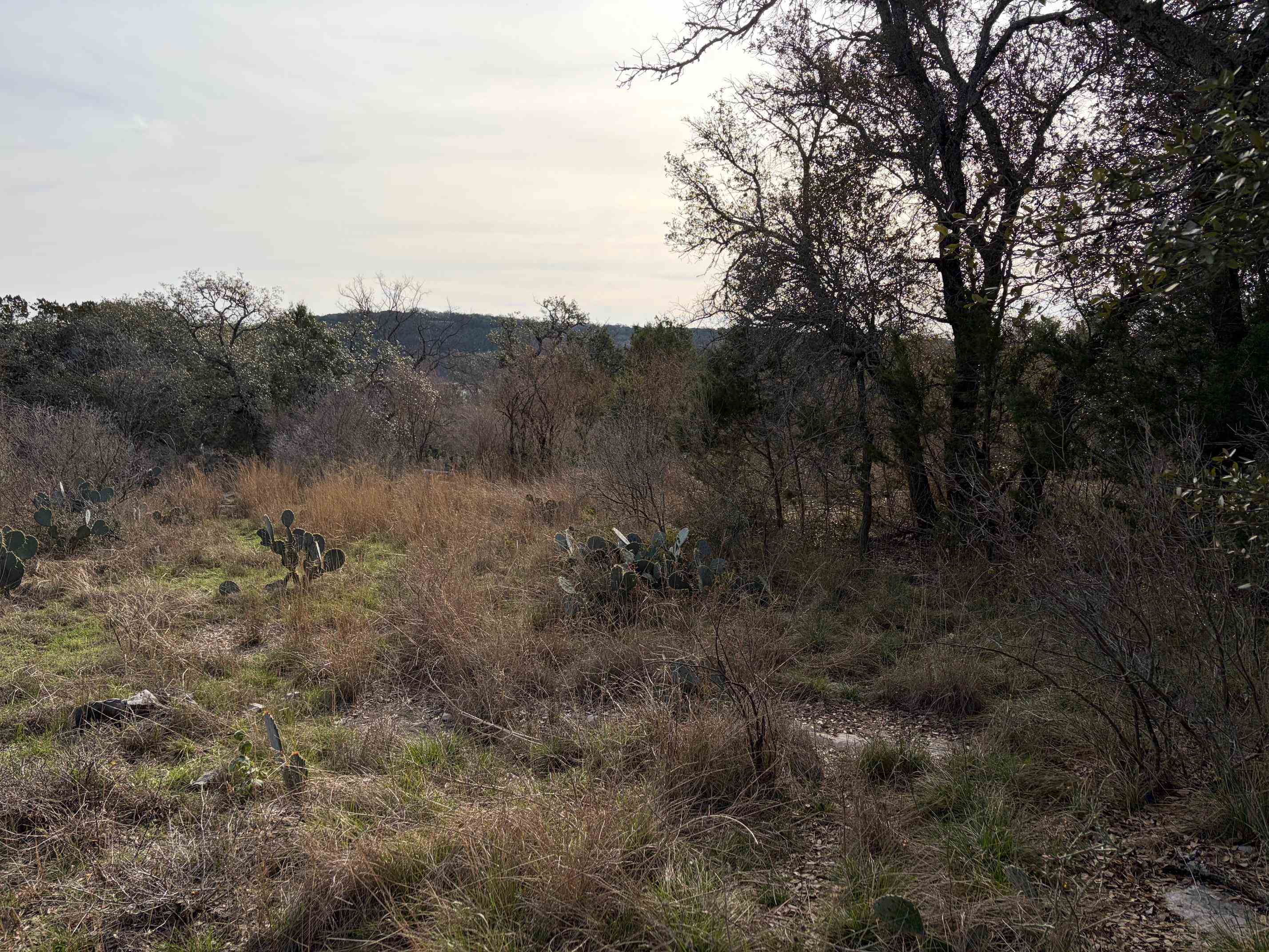 Lot 34 Lakeside Drive Spicewood TX 78669