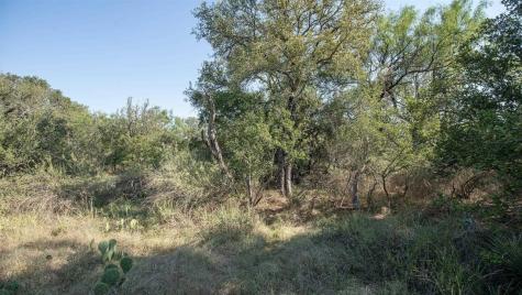 Lot 220 Timber Valley Lane Granite Shoals TX 78654