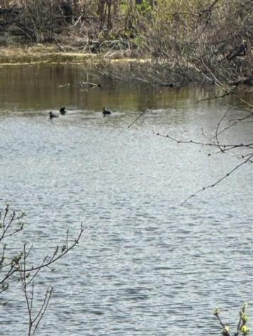 Lot K8023 Dew Drop Horseshoe Bay TX 78657