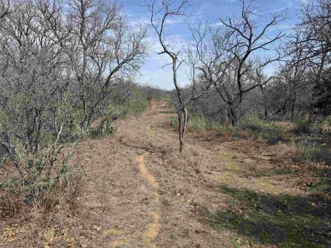 Lot 295 Pinemont Drive Kingsland TX 78639