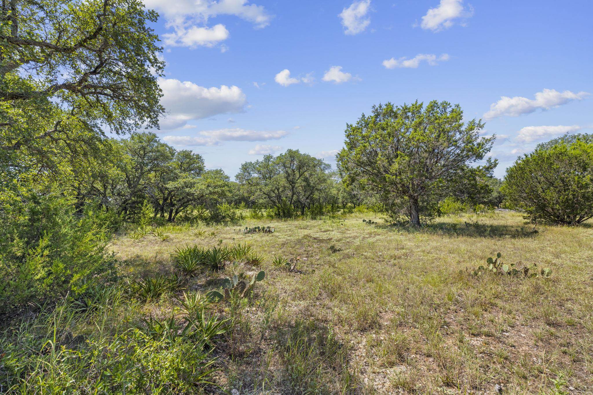 Lot 170 Heartleaf Drive Lampasas TX 76550