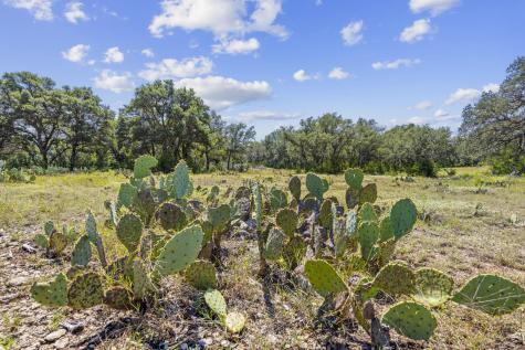 Lot 170 Heartleaf Drive Lampasas TX 76550