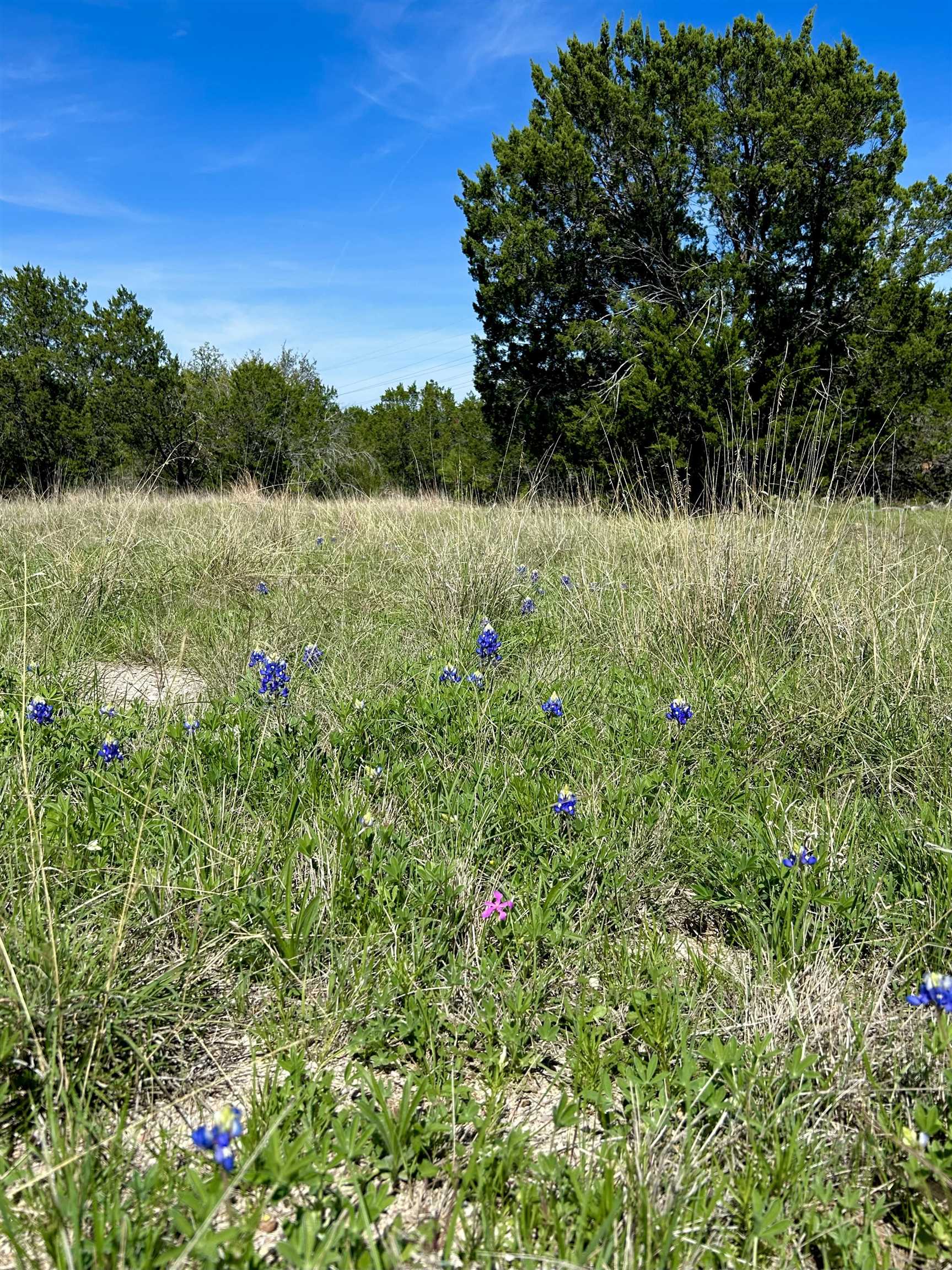 40012B Hi Ridge Road Horseshoe Bay TX 78657