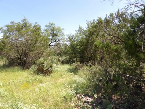 Lots 352 & 353 Rosehill Granite Shoals TX 78654