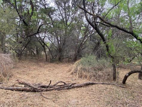 Lot 129 Cr 140 Burnet TX 78611