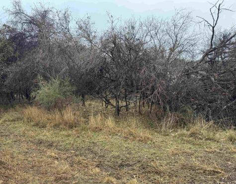 Lot 214 215 216 Northcrest Drive Granite Shoals TX 78654