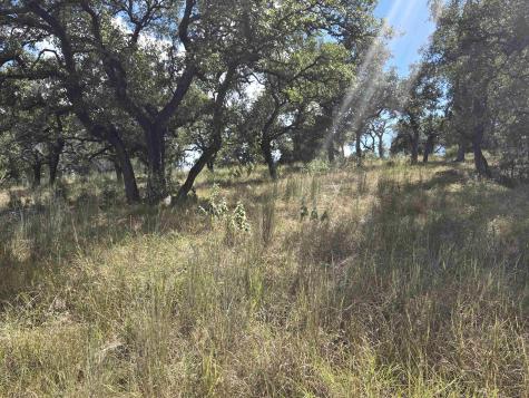 0000 Dew Drop Street Horseshoe Bay TX 78657