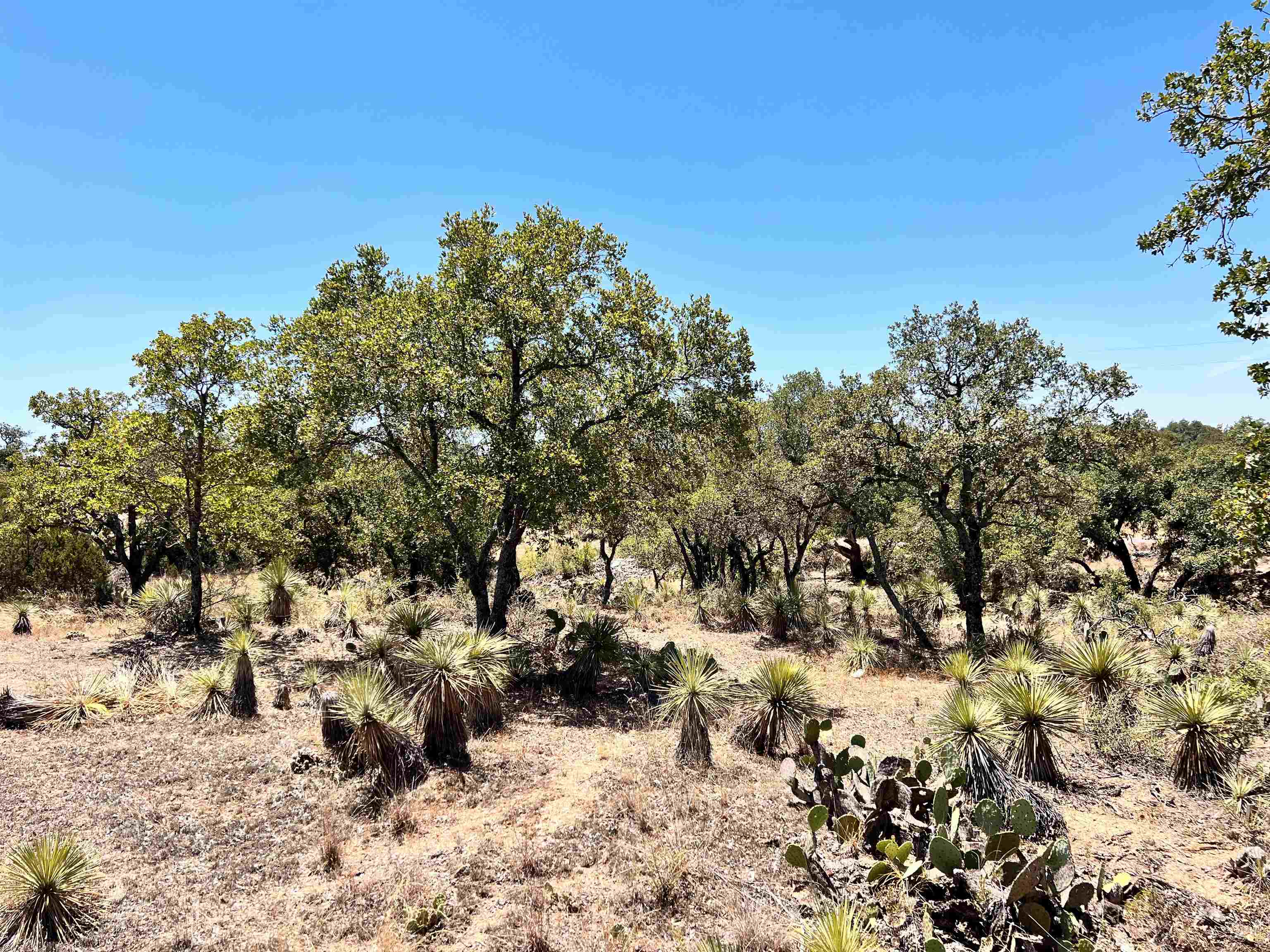 Lot 285 Tbd W. Castlelake Drive Granite Shoals TX 78654