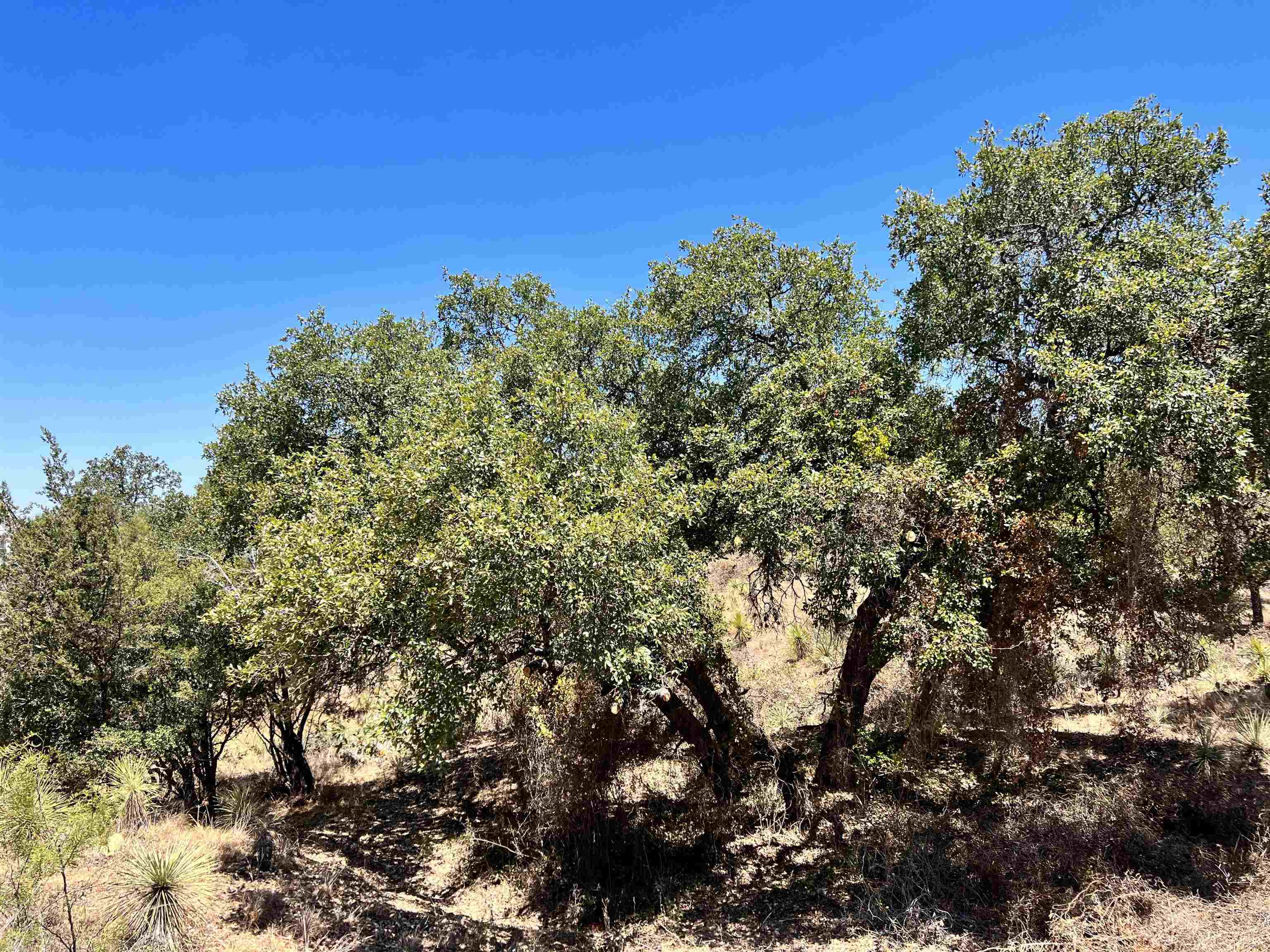 Lot 285 Tbd W. Castlelake Drive Granite Shoals TX 78654