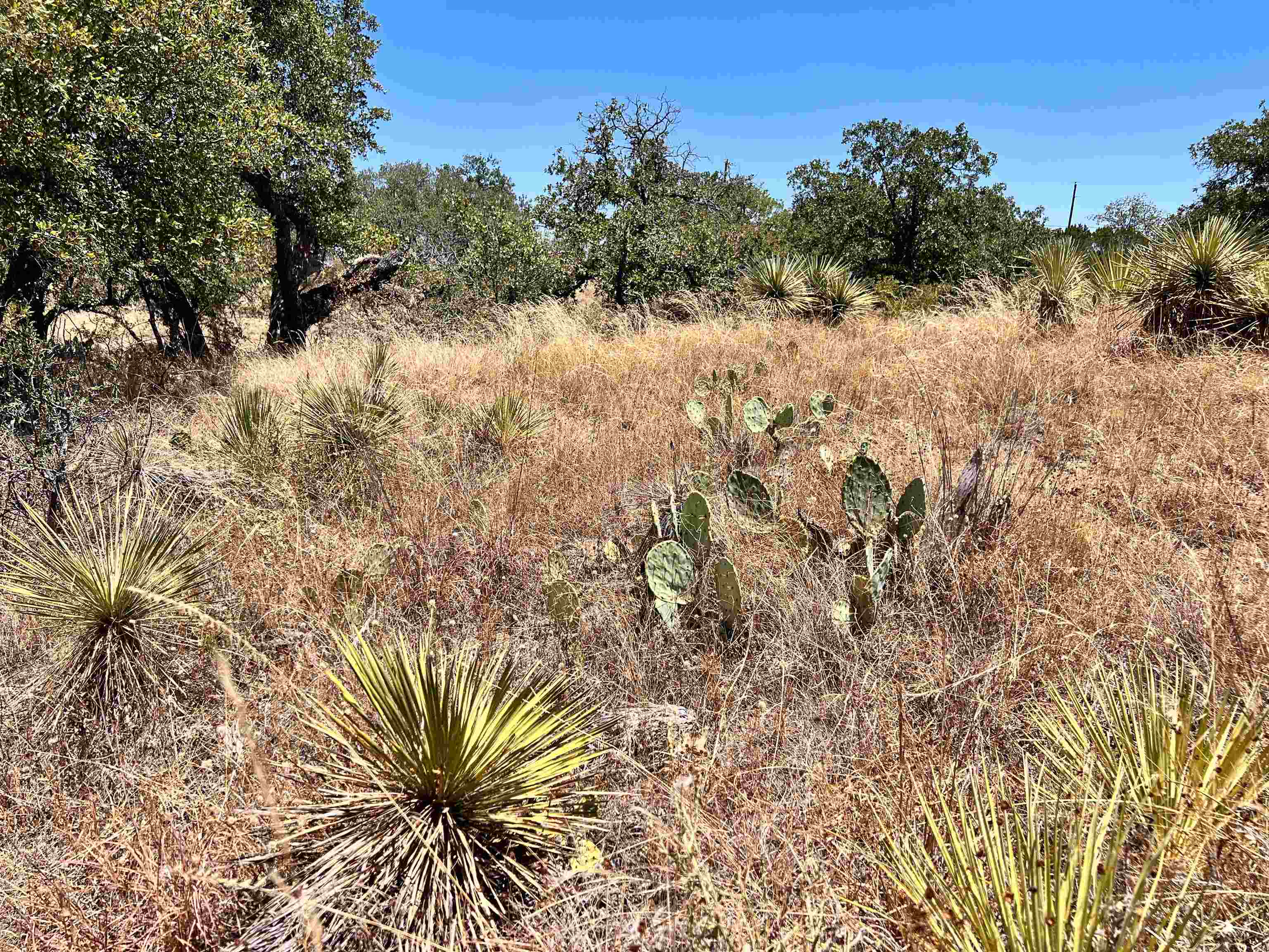 Lot 285 Tbd W. Castlelake Drive Granite Shoals TX 78654