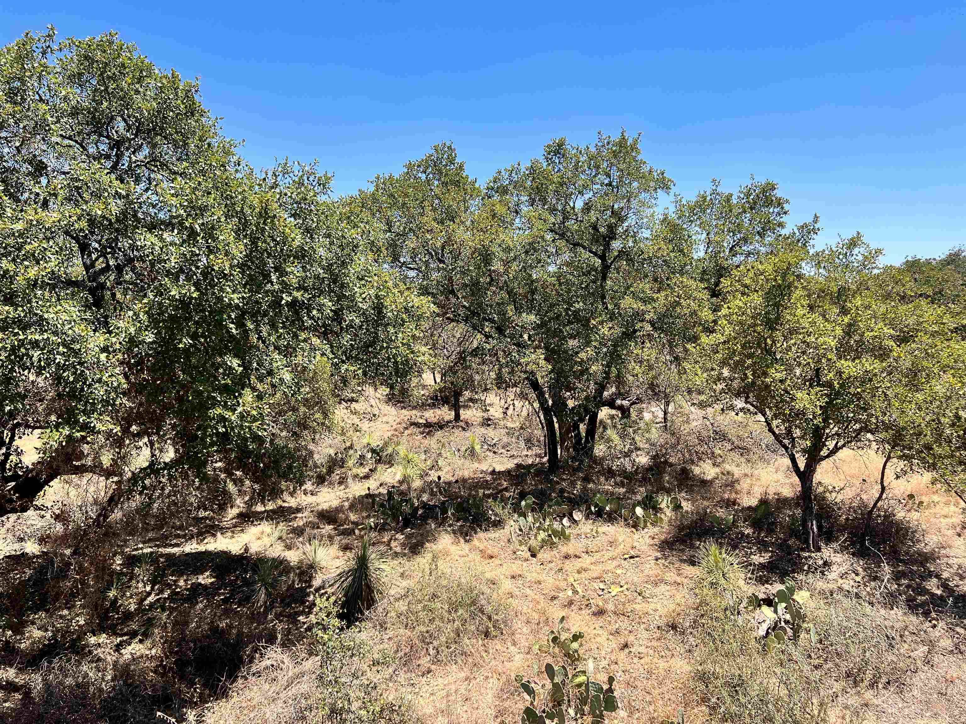 Lot 285 Tbd W. Castlelake Drive Granite Shoals TX 78654