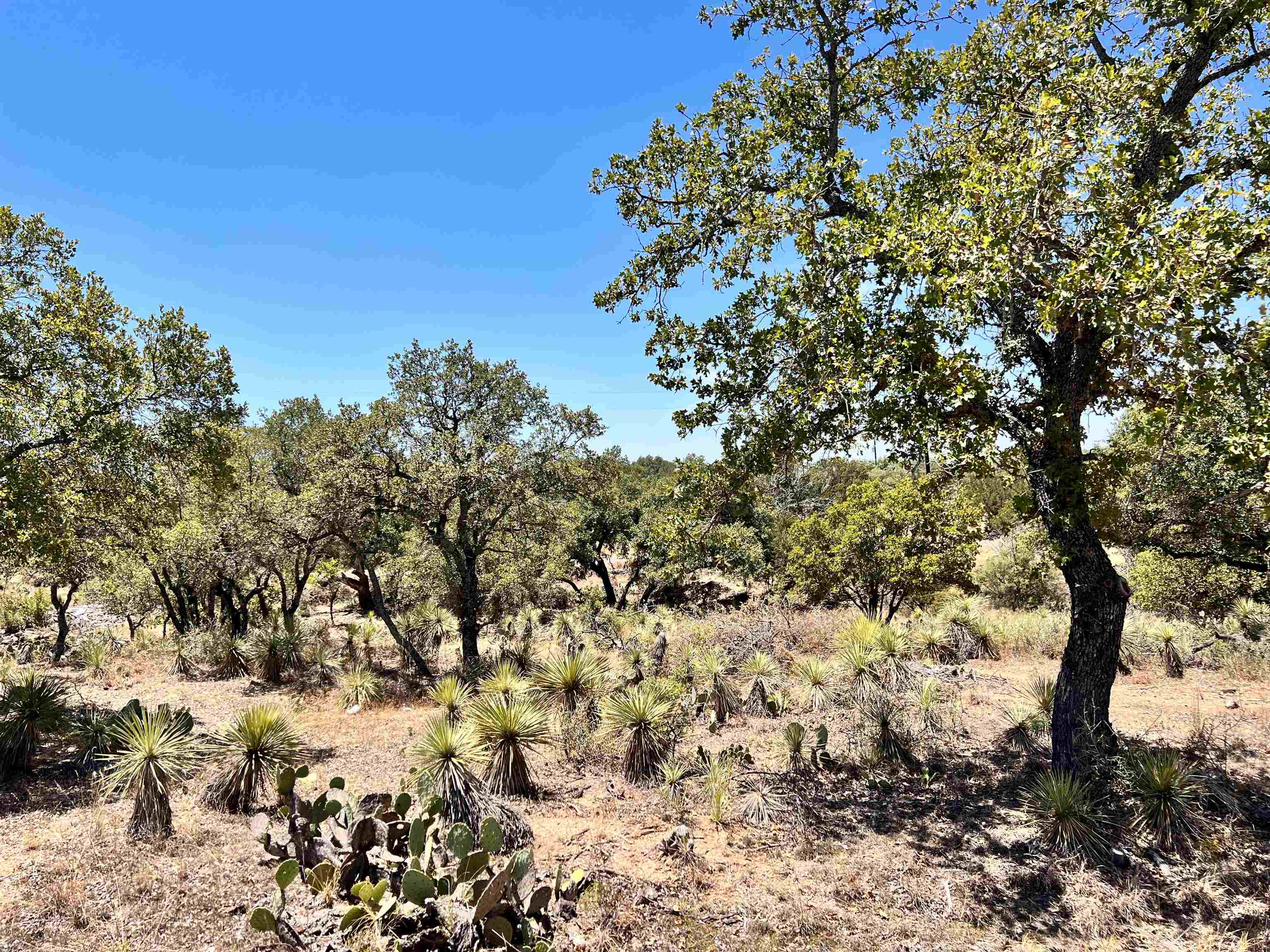 Lot 285 Tbd W. Castlelake Drive Granite Shoals TX 78654
