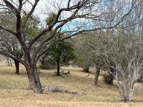 Duplex Lot 8002 Hi Circle West Horseshoe Bay TX 78657