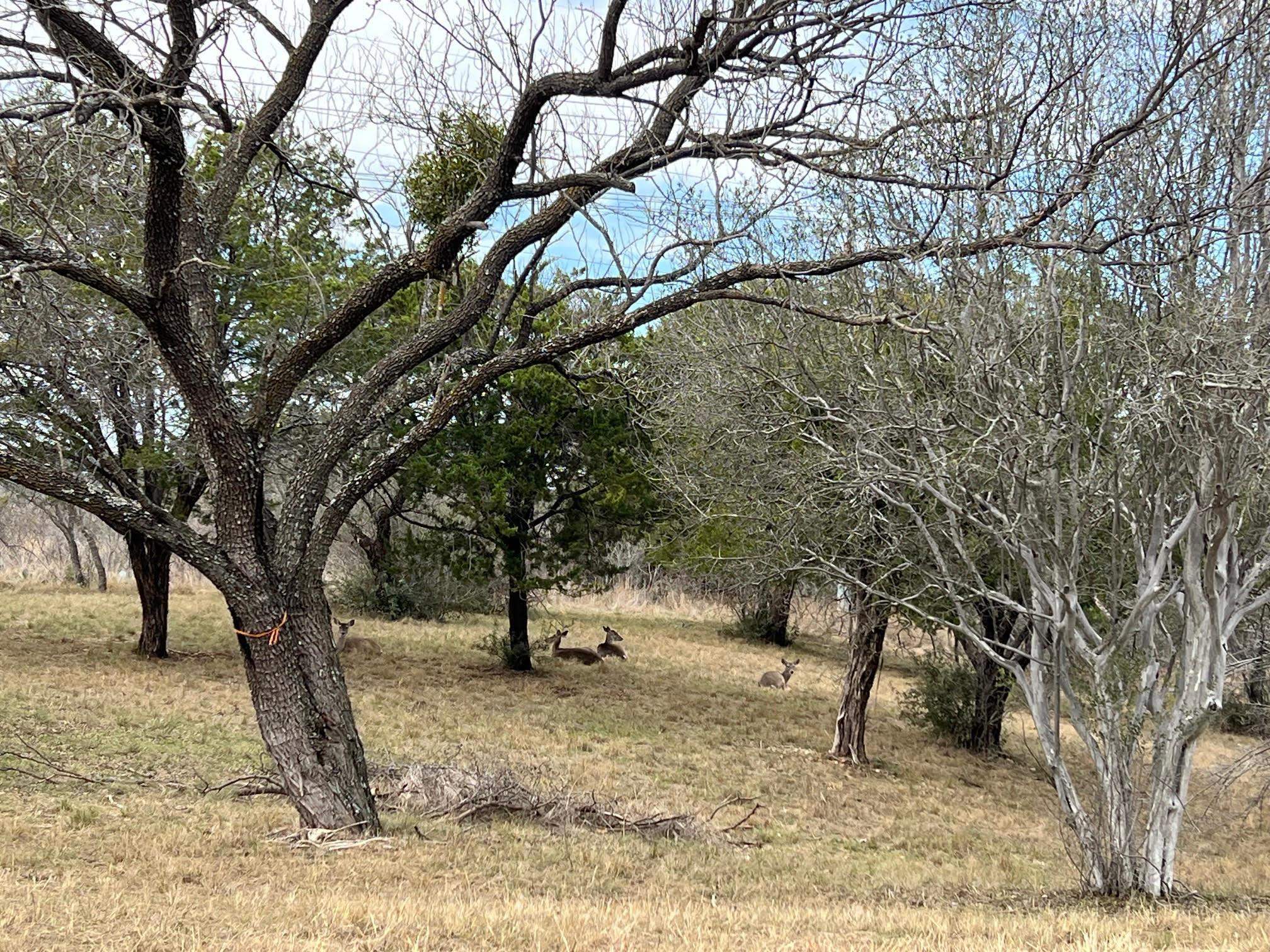 Duplex Lot 8002 Hi Circle West Horseshoe Bay TX 78657