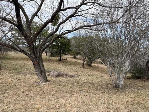 Duplex Lot 8002 Hi Circle West Horseshoe Bay TX 78657