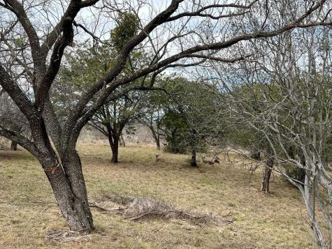 Duplex Lot 8002 Hi Circle West Horseshoe Bay TX 78657