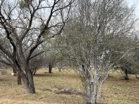 Duplex Lot 8002 Hi Circle West Horseshoe Bay TX 78657