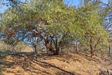 432 Sandy Mountain Drive Sunrise Beach TX 78643