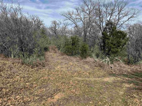 Lot 296-297 Pinemont Drive Kingsland TX 78639