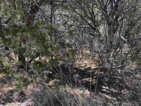 Lt K11054 Mountain Dew Horseshoe Bay TX 78657