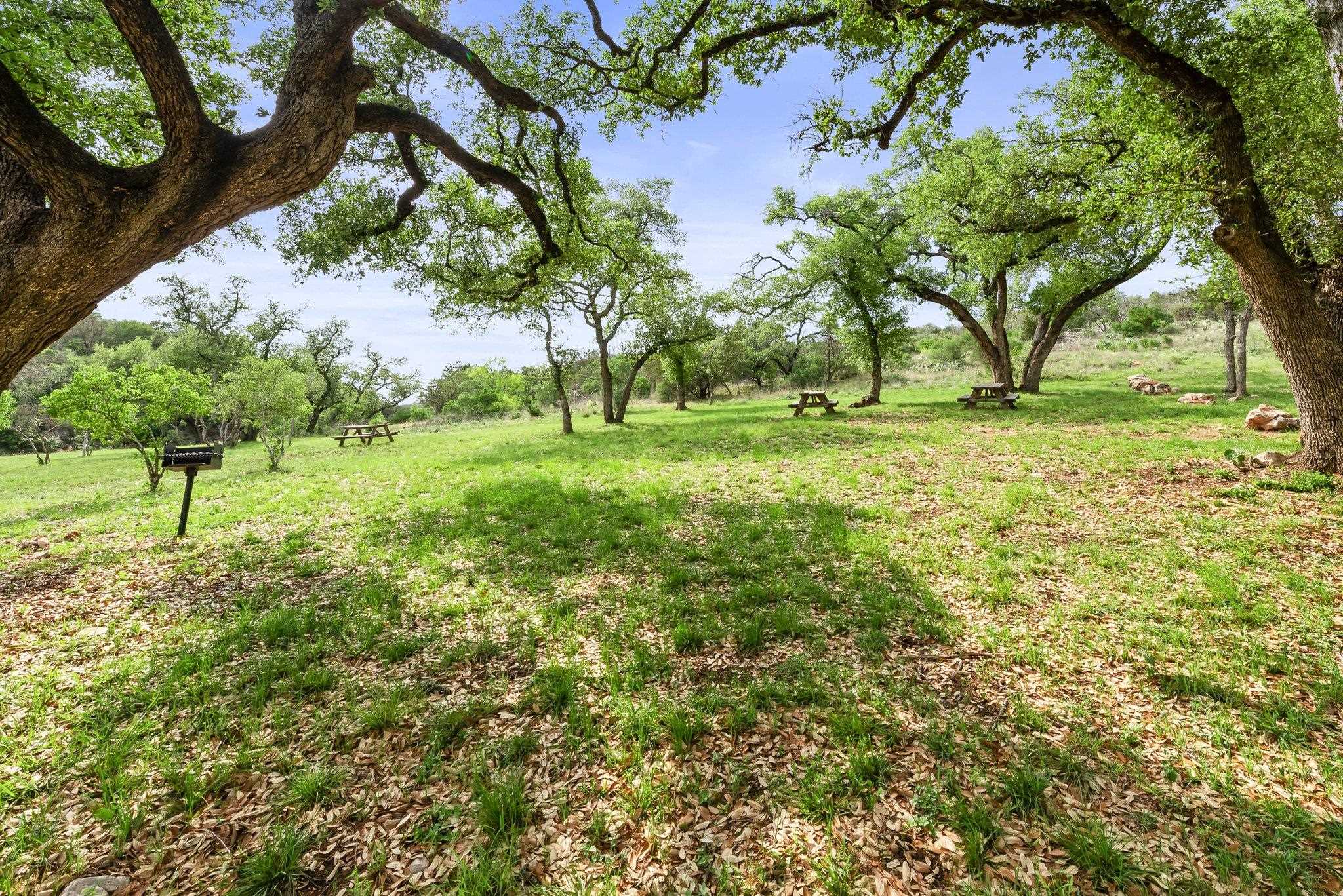 Lot 115 Big Creek Ranch (Falling Waters) Kingsland TX 78639
