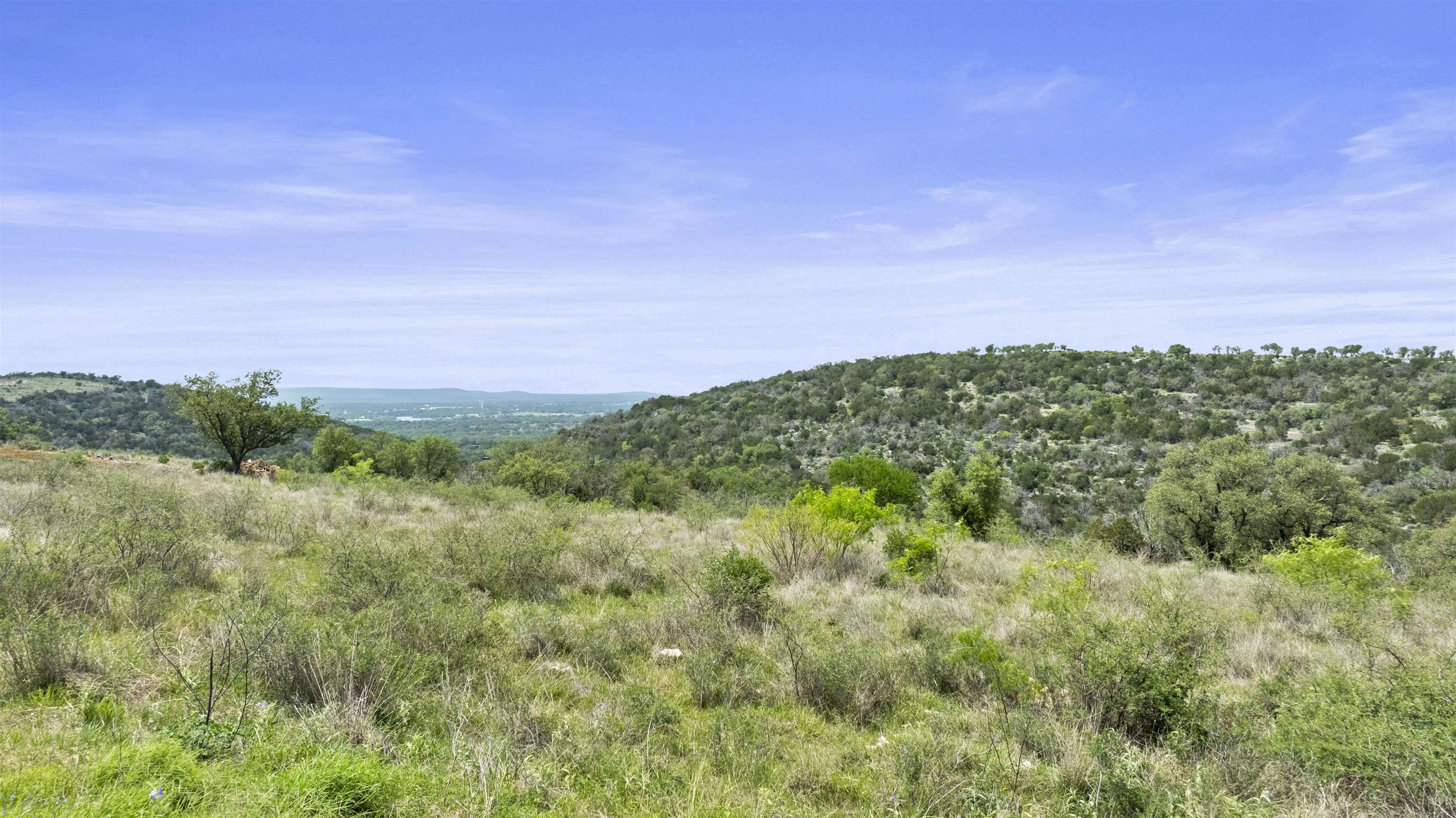 Lot 115 Big Creek Ranch (Falling Waters) Kingsland TX 78639
