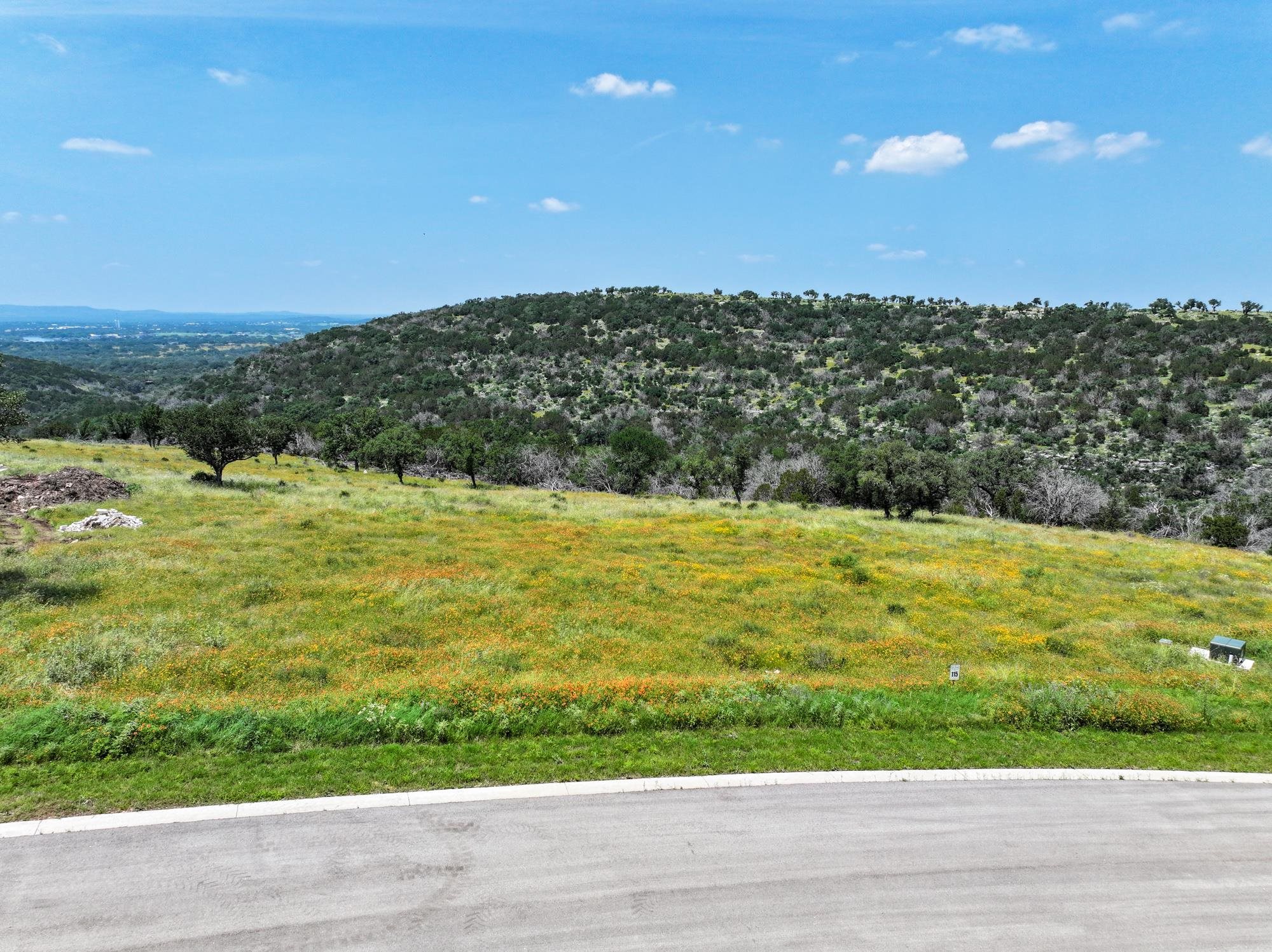 Lot 115 Big Creek Ranch (Falling Waters) Kingsland TX 78639