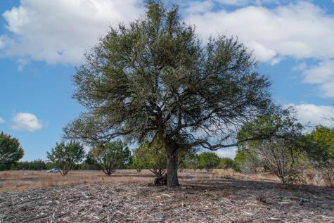 Tbd Burnet Oaks Lot 20 Burnet TX 78611