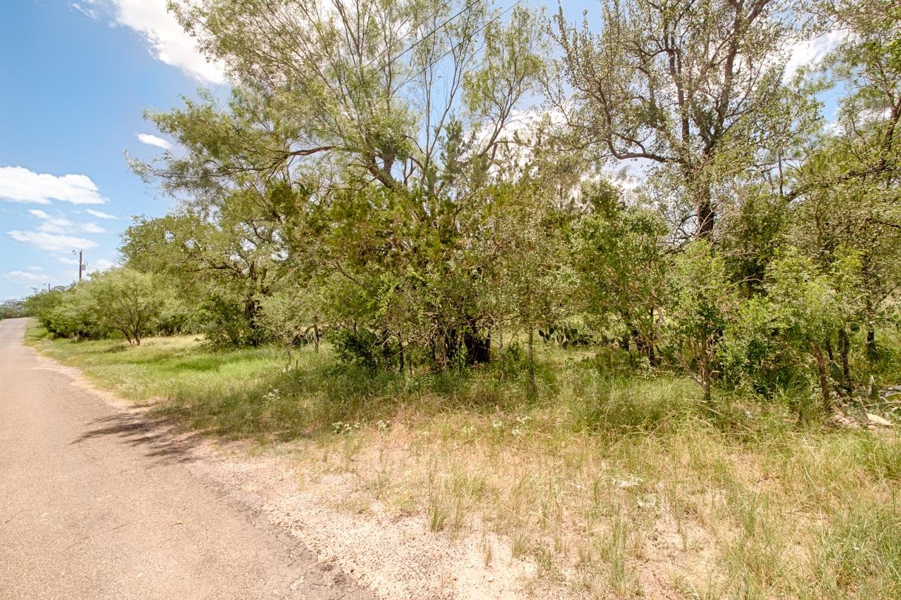 Tbd Timber Valley Lane Granite Shoals TX 78654