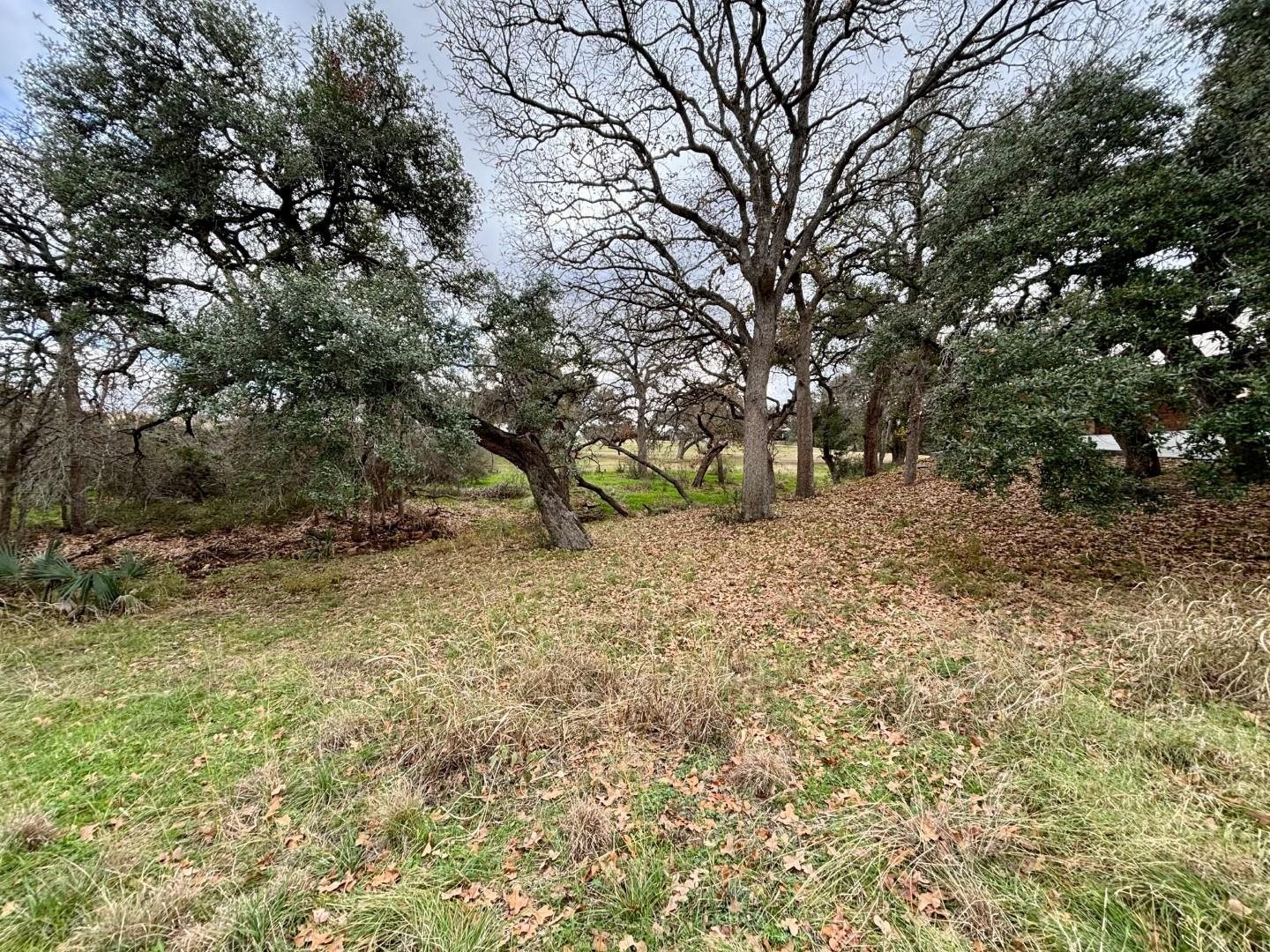 W27002 Mountain Leather Horseshoe Bay TX 78657