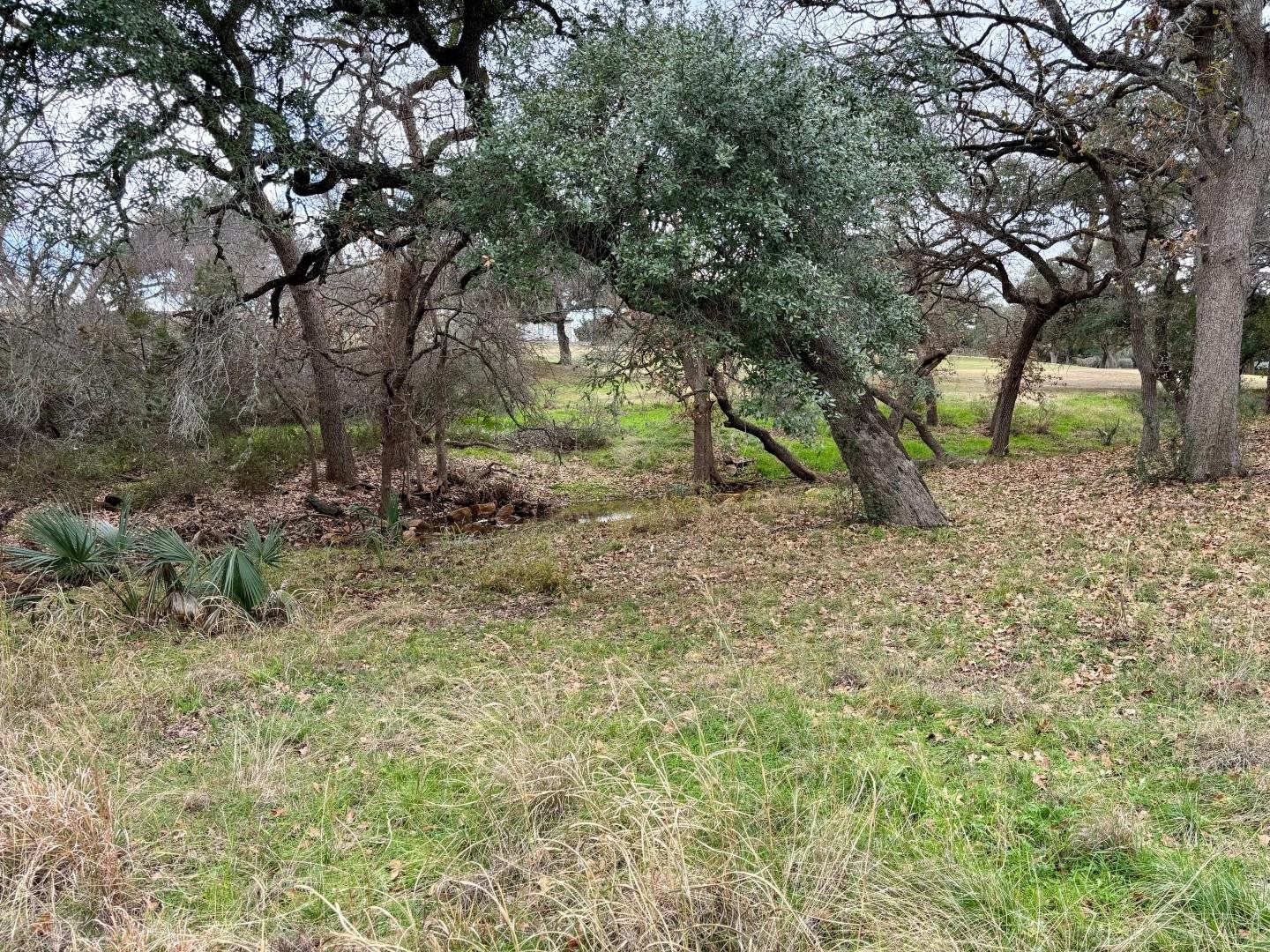 W27002 Mountain Leather Horseshoe Bay TX 78657