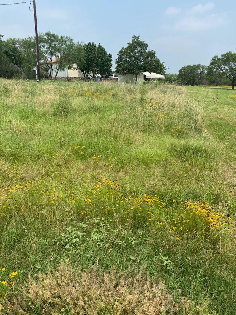00 Odessa Lane Tow TX 78672